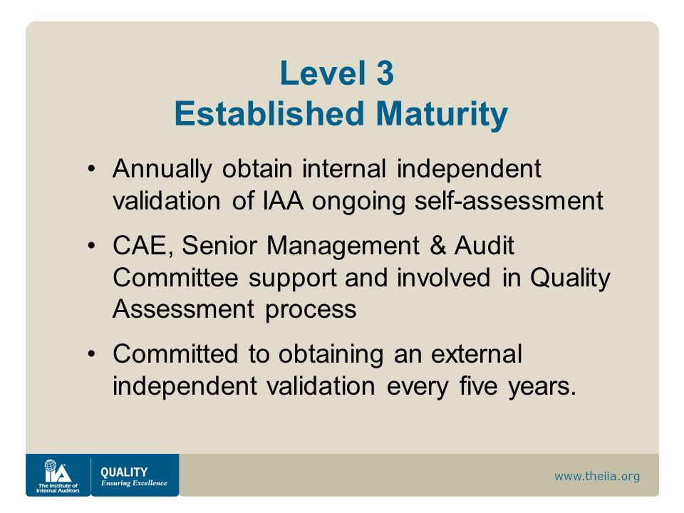 Level 3 Established Maturity
