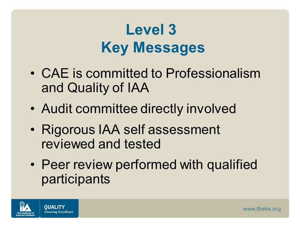 Level 3 Key Messages CAE is committed to Professionalism and Quality of IAA. Audit committee directly involved.