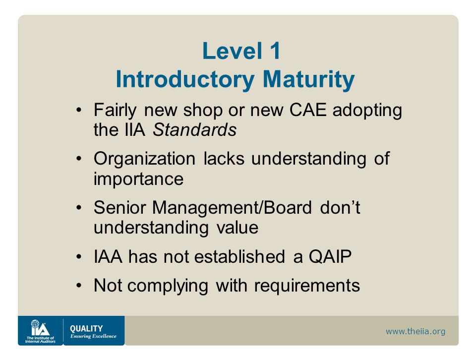 Level 1 Introductory Maturity