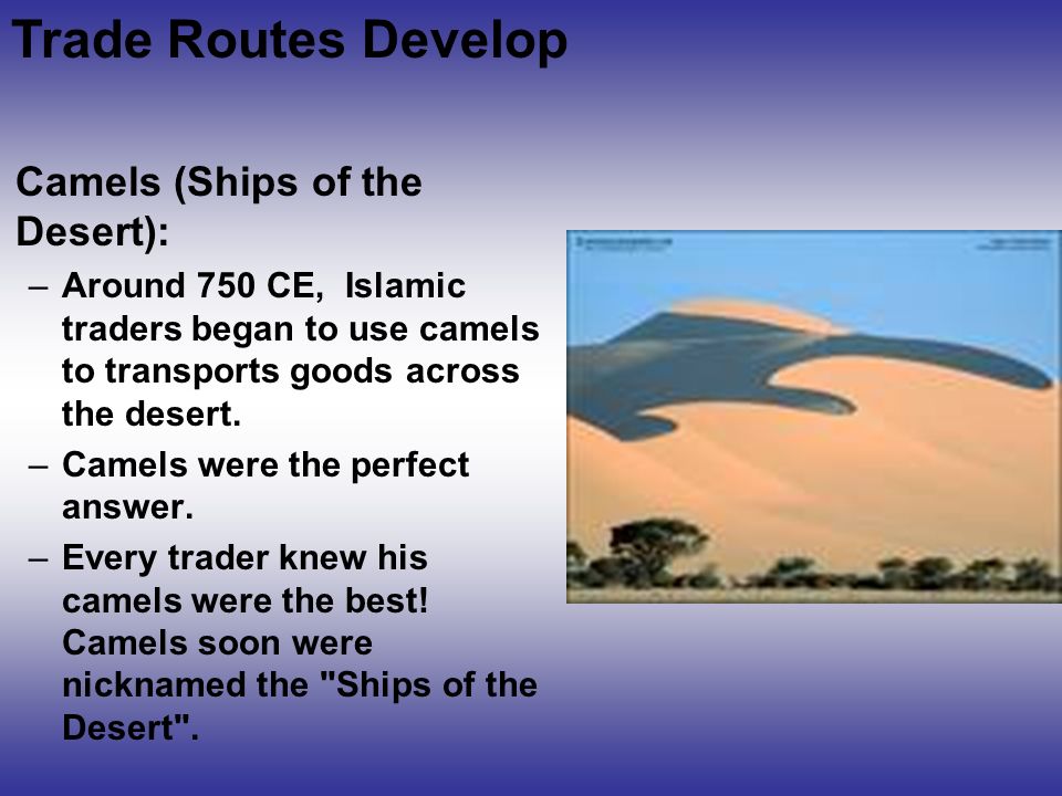 Trade Routes Develop Camels (Ships of the Desert):