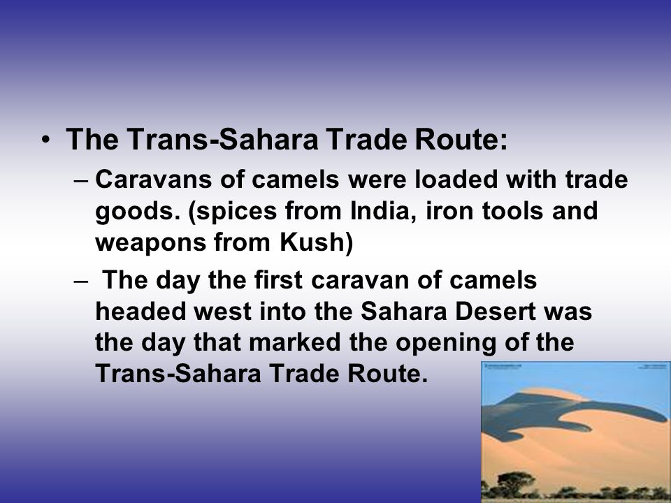 The Trans-Sahara Trade Route:
