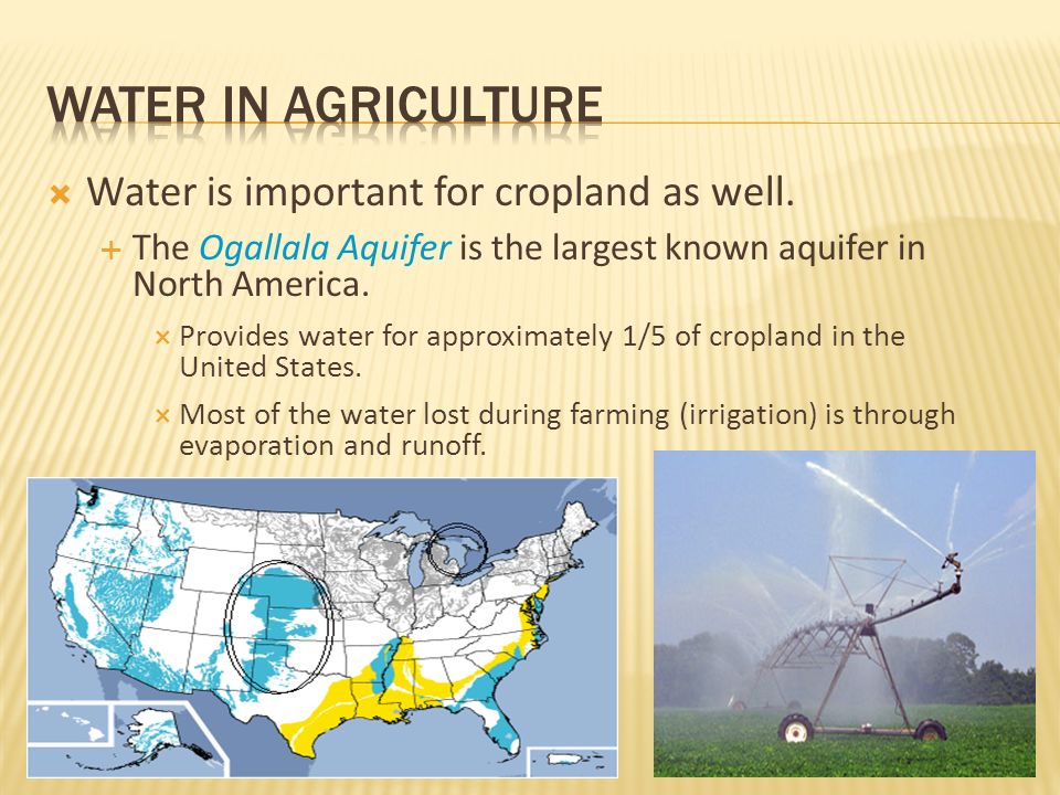 Water in agriculture Water is important for cropland as well.
