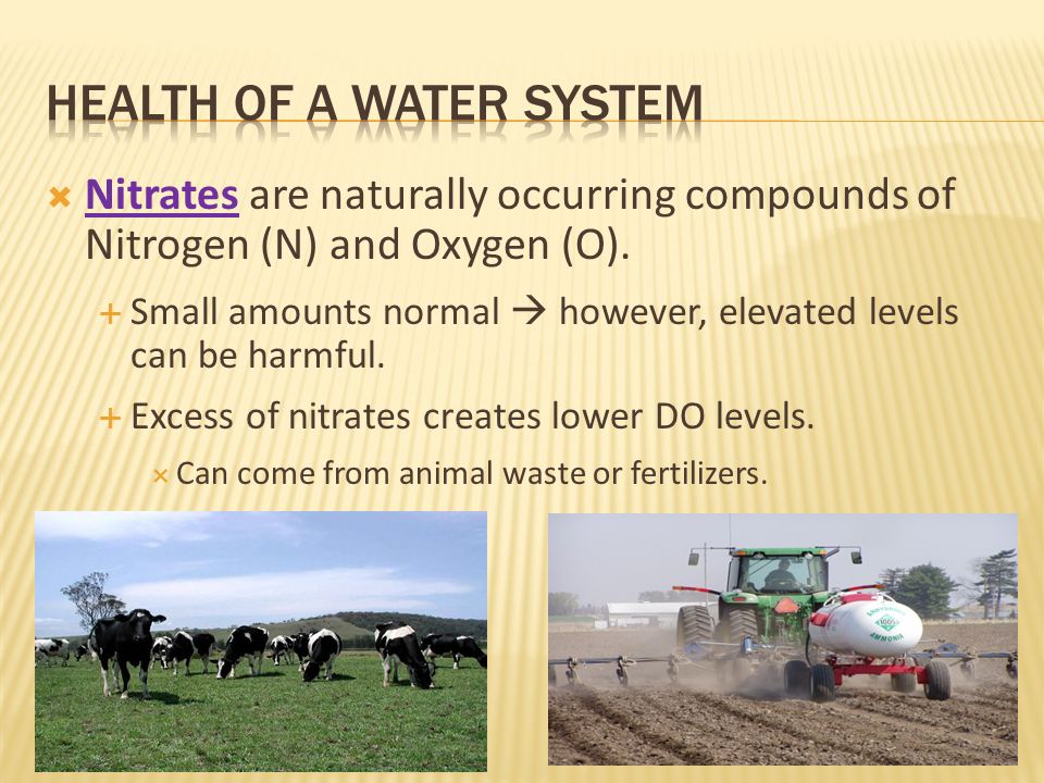 Health of a water system