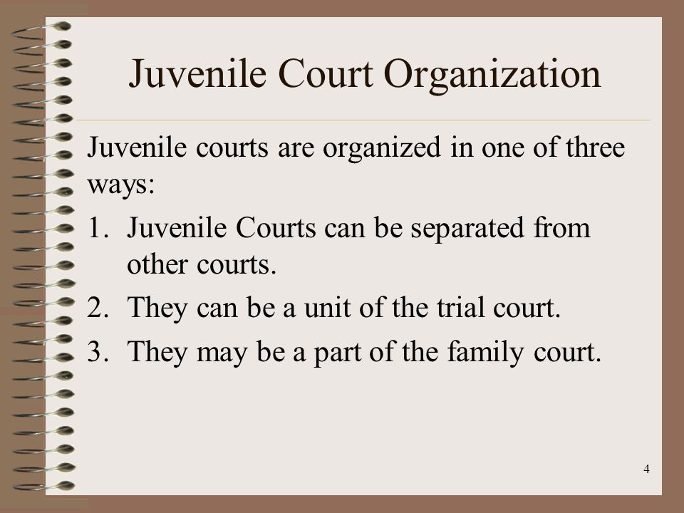 Juvenile Court Organization