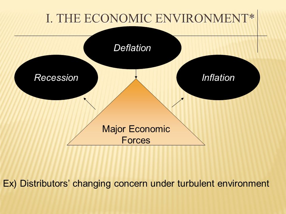 I. The Economic Environment*