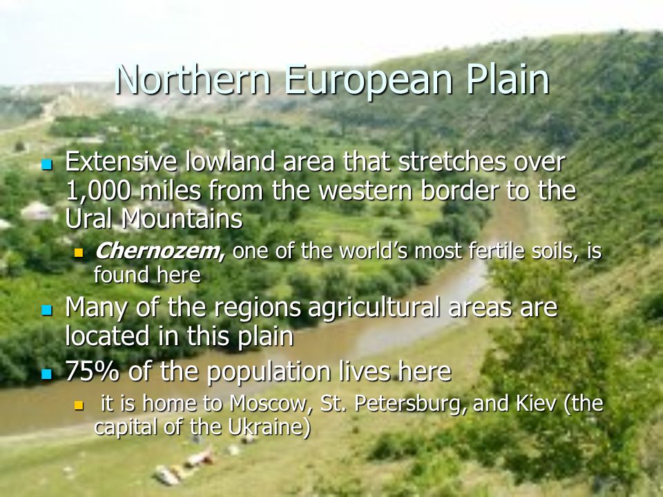 Northern European Plain