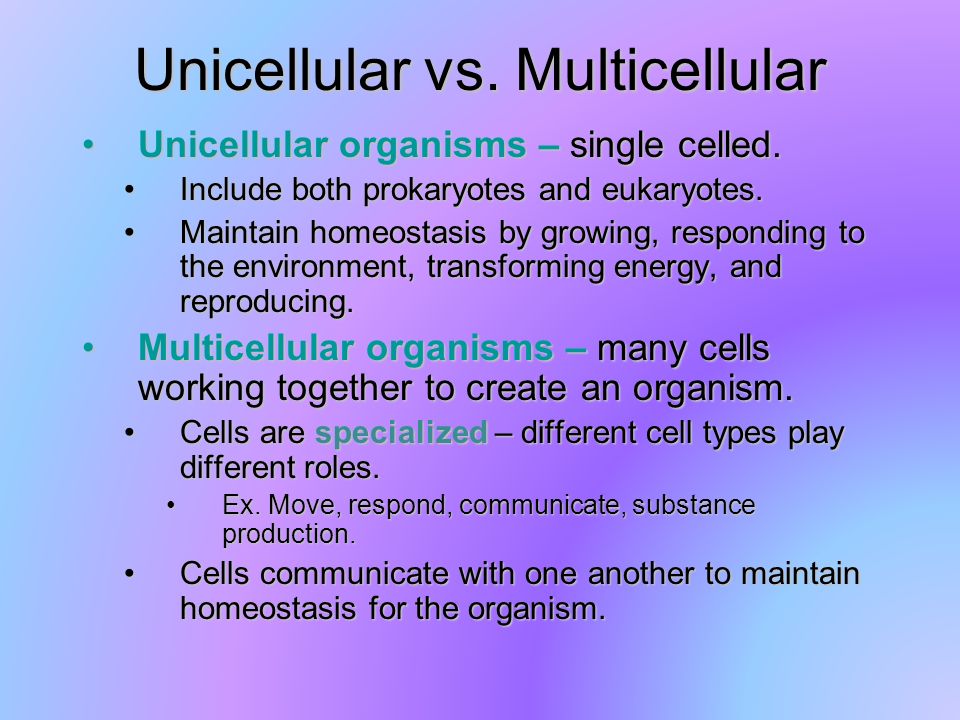 Cell Structure and Function (Ch. 7) - ppt download