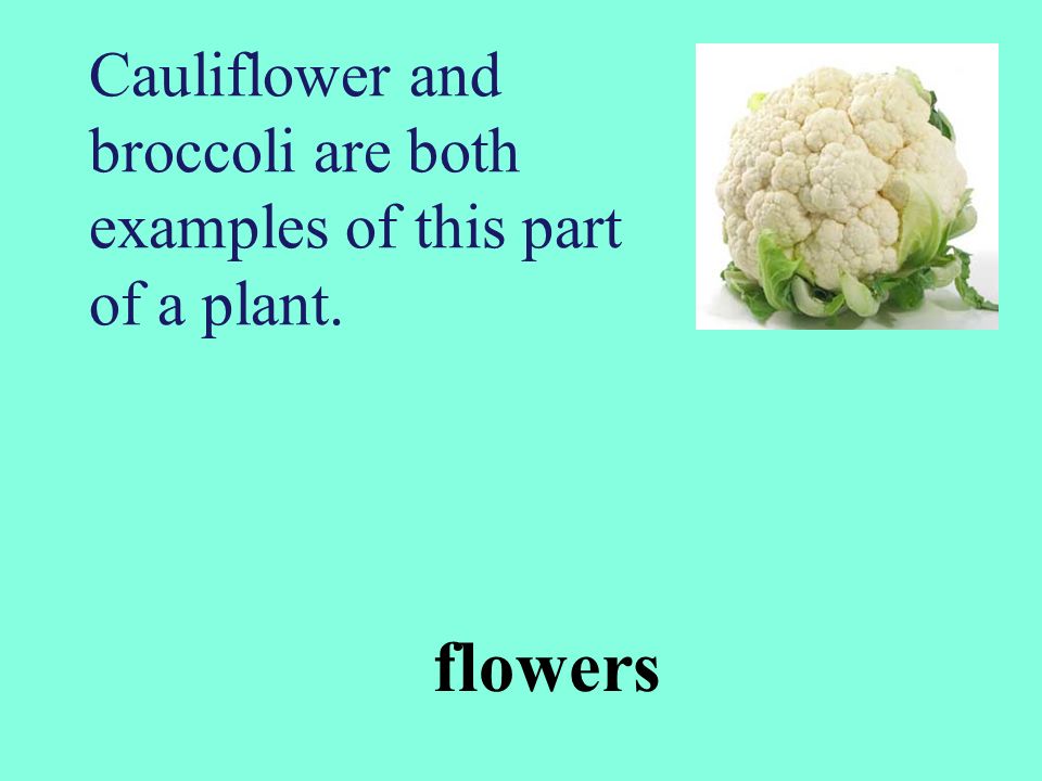 Cauliflower and broccoli are both examples of this part of a plant.
