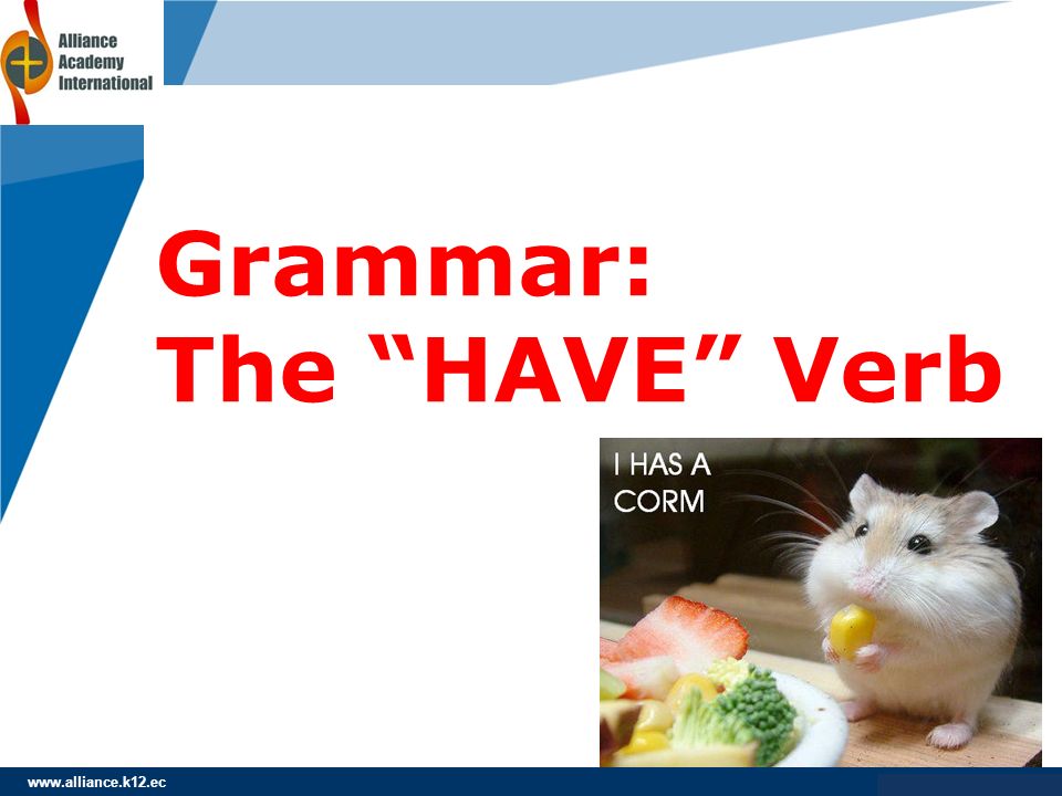 Grammar: The HAVE Verb