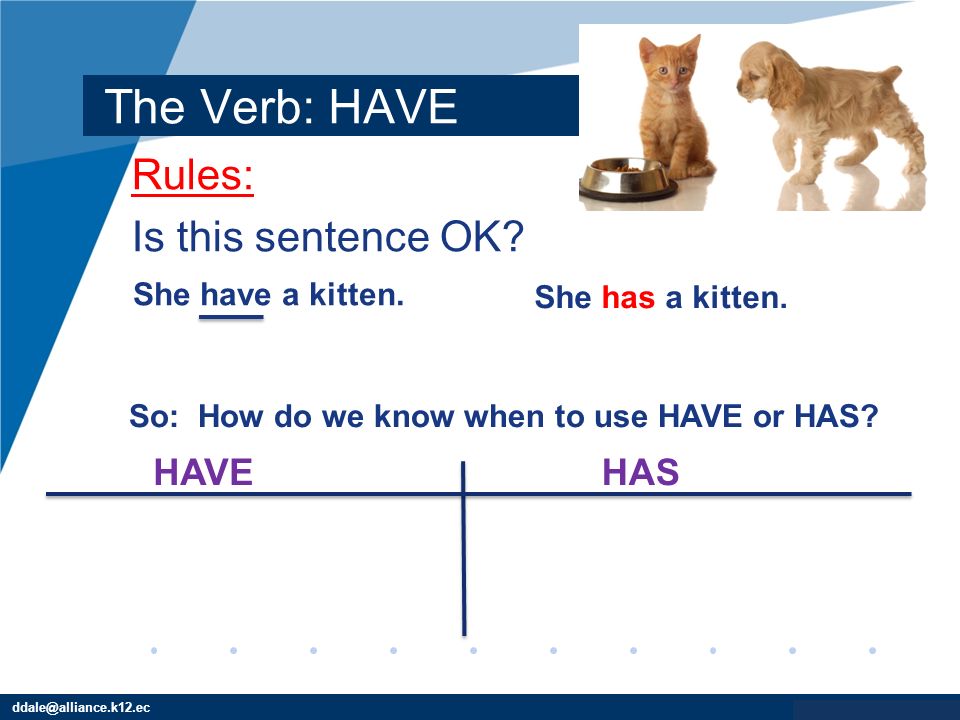The Verb: HAVE Rules: Is this sentence OK HAVE HAS She have a kitten.