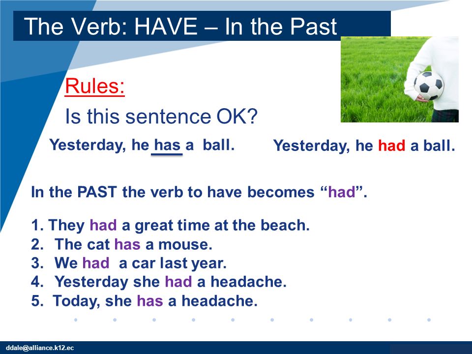 The Verb: HAVE – In the Past