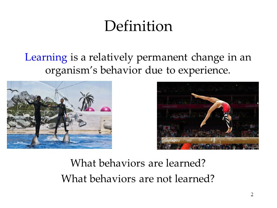 Definition Learning is a relatively permanent change in an organism’s behavior due to experience. What behaviors are learned