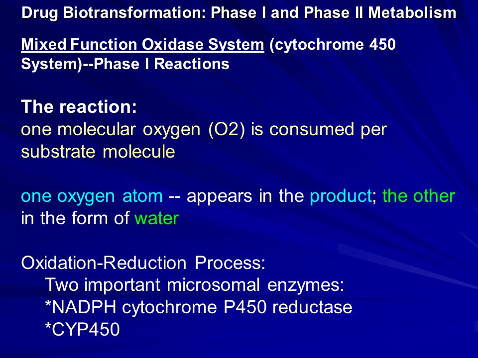 Forekomme Ed ryste I. Why is Biotransformation Necessary? - ppt video online download