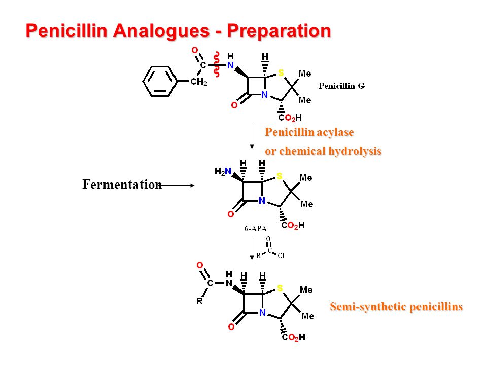 Пенициллин формула. Пенициллин тест