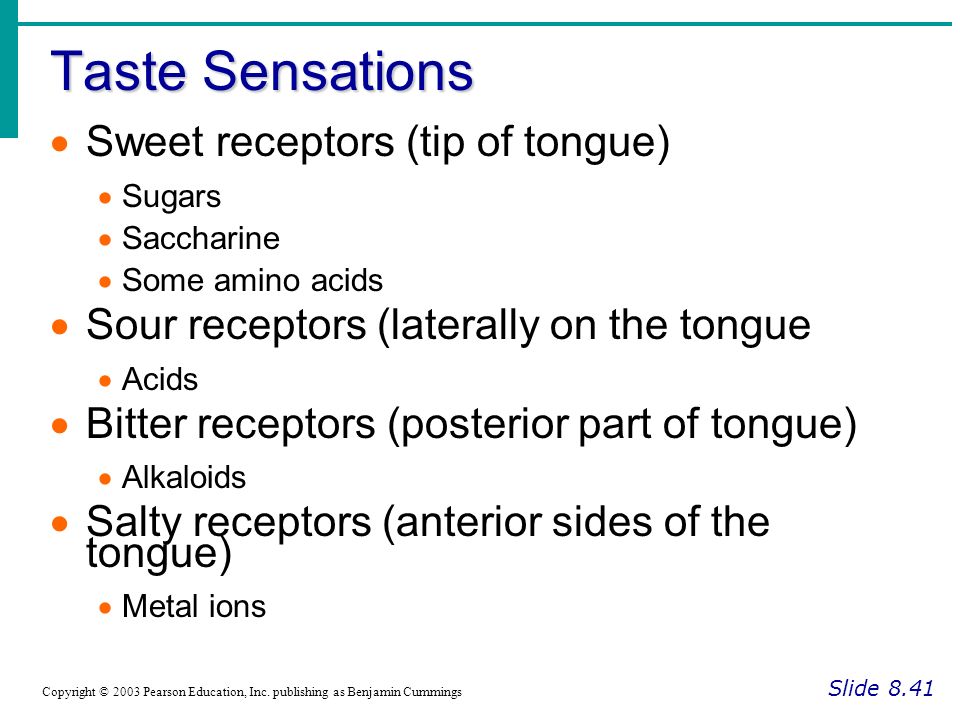 Taste Sensations Sweet receptors (tip of tongue)