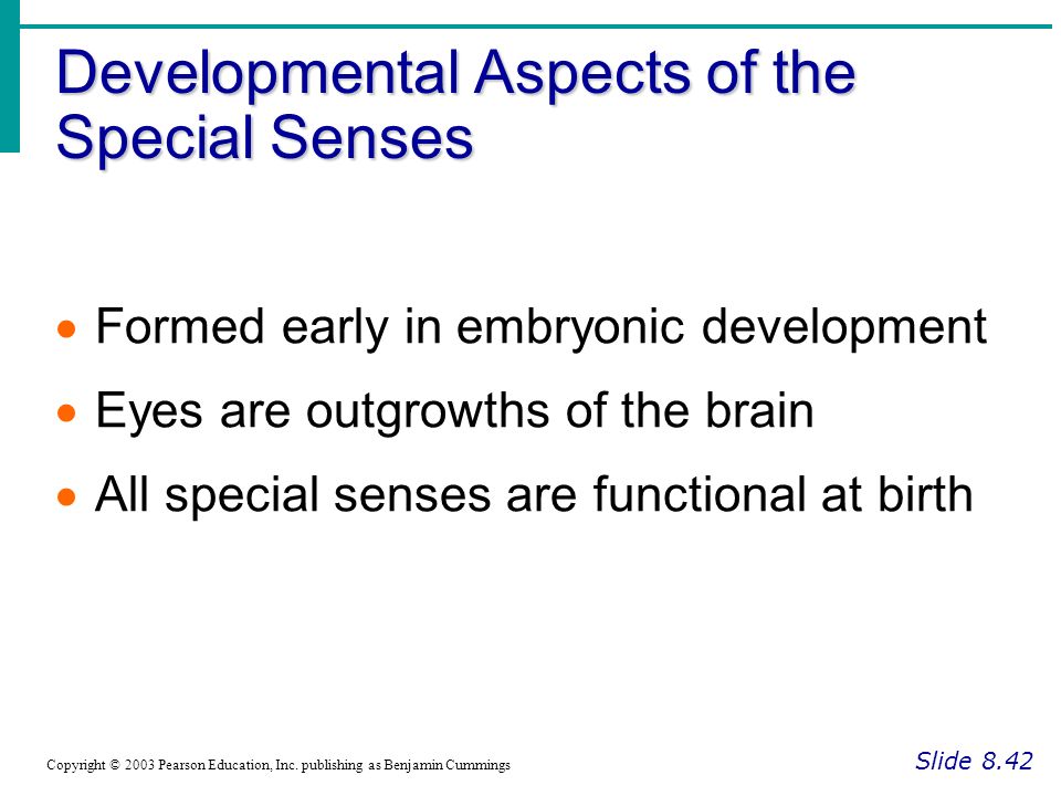 Developmental Aspects of the Special Senses