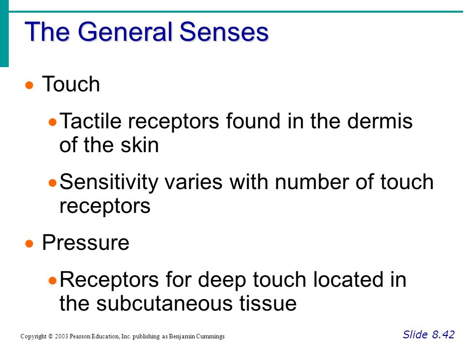The General Senses Touch