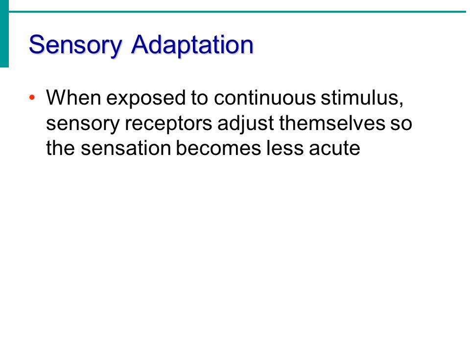 Sensory Adaptation When exposed to continuous stimulus, sensory receptors adjust themselves so the sensation becomes less acute.