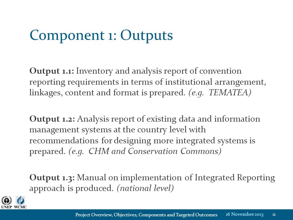 Component 1: Outputs