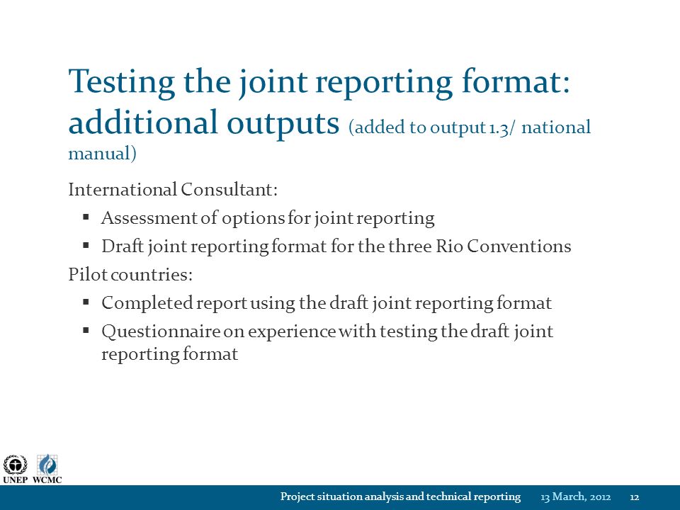 Testing the joint reporting format: additional outputs (added to output 1.3/ national manual)