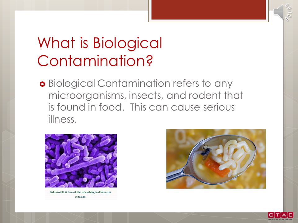 What is biological age. Biological contamination. What is Biological material.