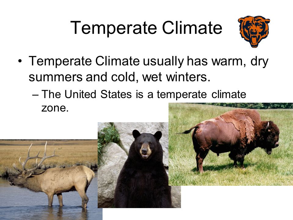 Temperate Climate Temperate Climate usually has warm, dry summers and cold, wet winters.