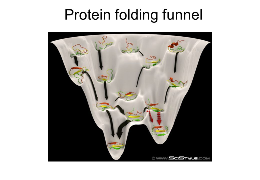Protein Folding Funnel :: Behance