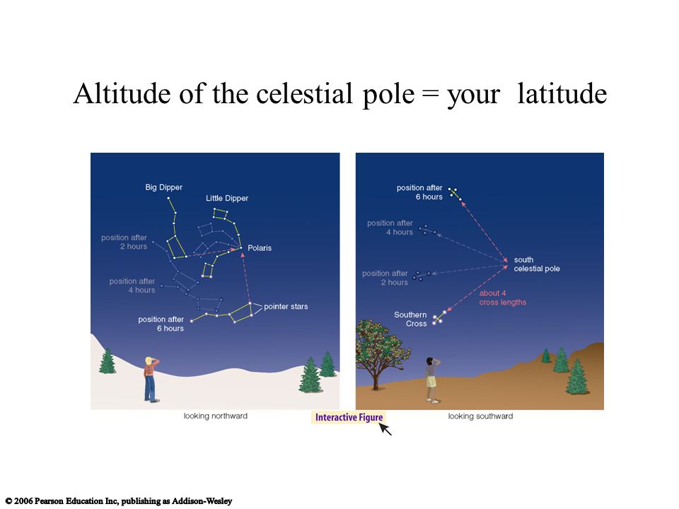 Altitude of the celestial pole = your latitude