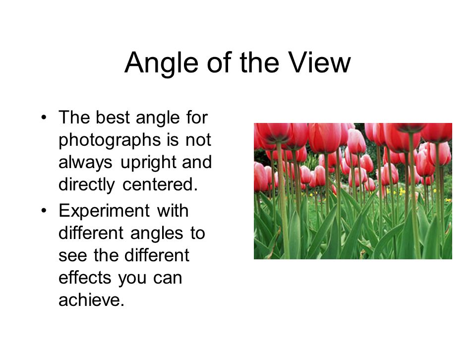 Angle of the View The best angle for photographs is not always upright and directly centered.