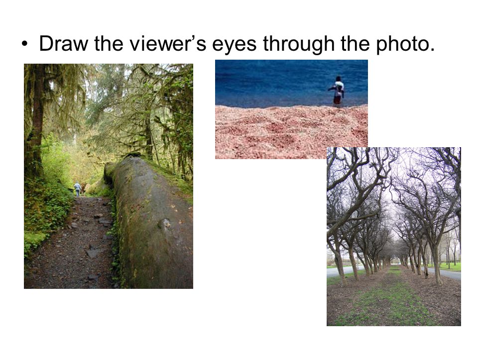 Draw the viewer’s eyes through the photo.