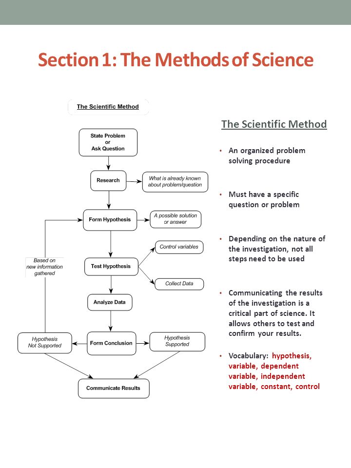 The nature of science worksheet answers