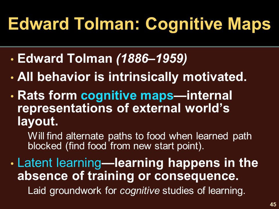 edward tolman theory of learning