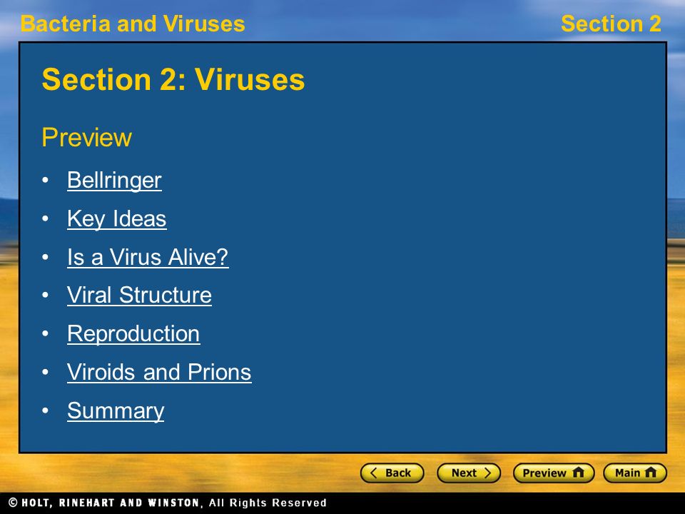 Section 2: Viruses Preview Bellringer Key Ideas Is a Virus Alive