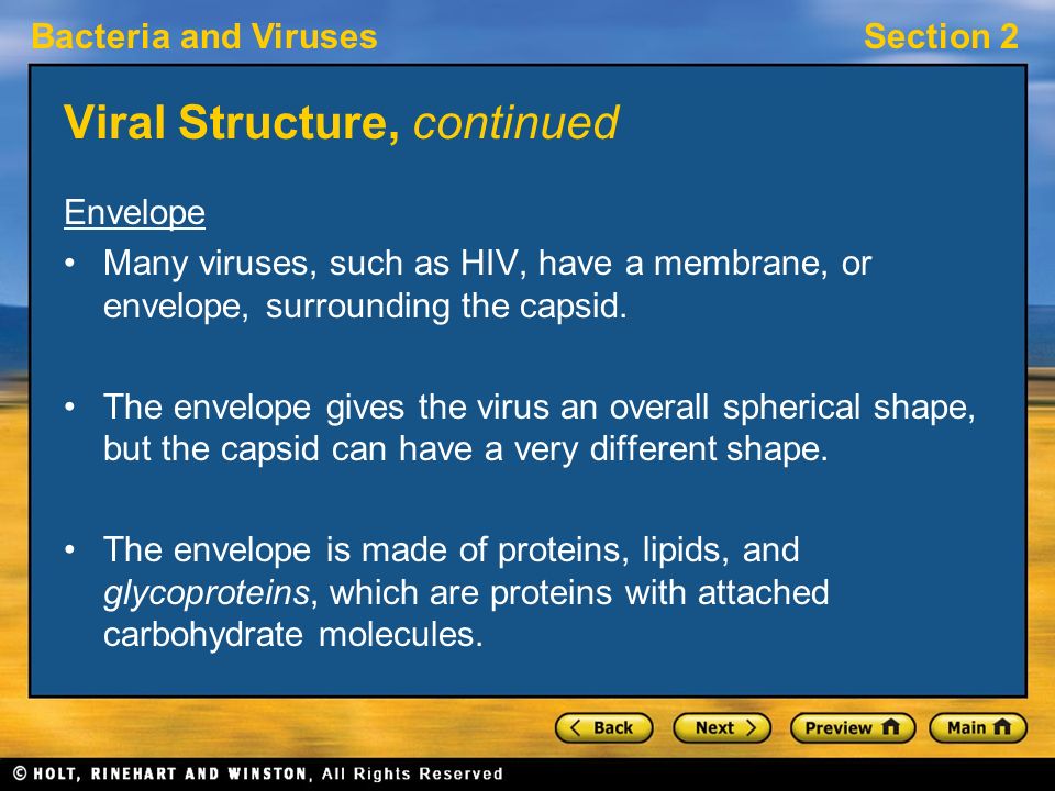 Viral Structure, continued