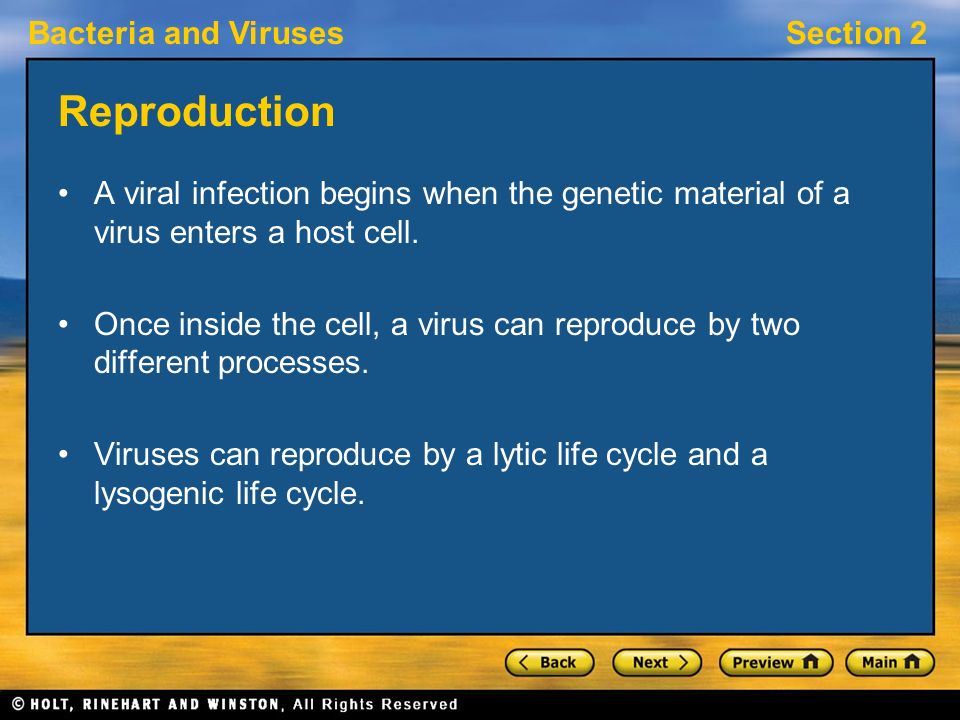 Reproduction A viral infection begins when the genetic material of a virus enters a host cell.