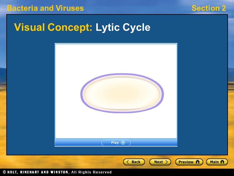 Visual Concept: Lytic Cycle