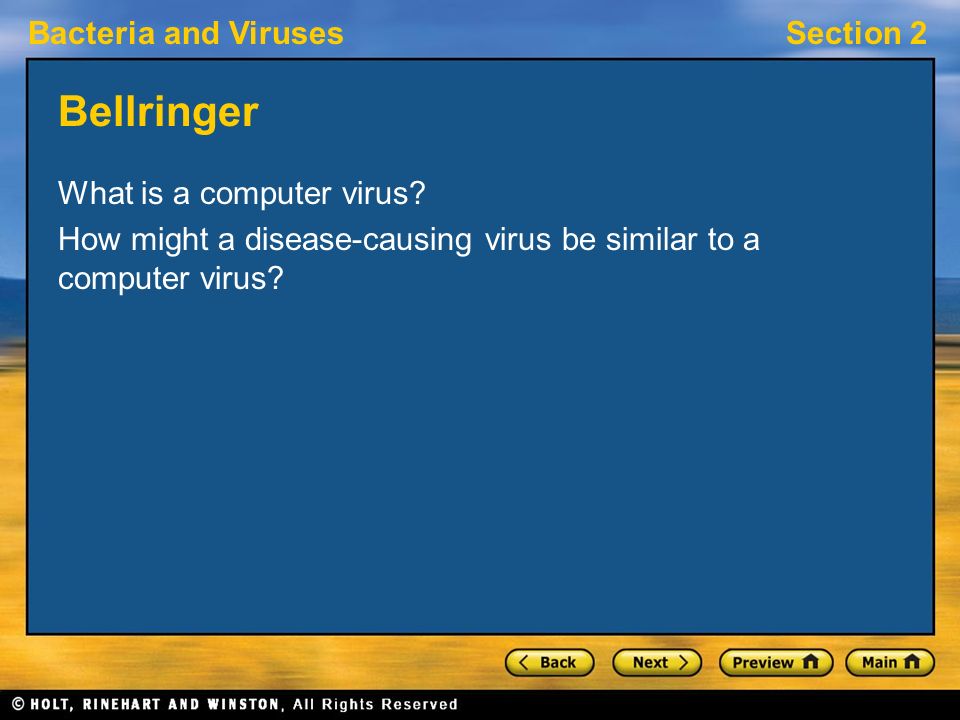 Bellringer What is a computer virus