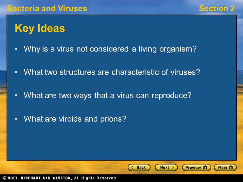 Key Ideas Why is a virus not considered a living organism