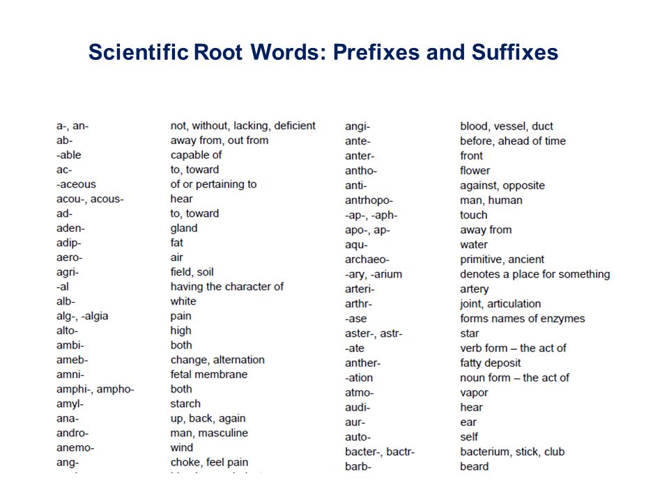 Words with prefix be. Roots prefix suffix of Words. Words with prefixes and suffixes. Prefix root suffix. Match the Words with prefixes.
