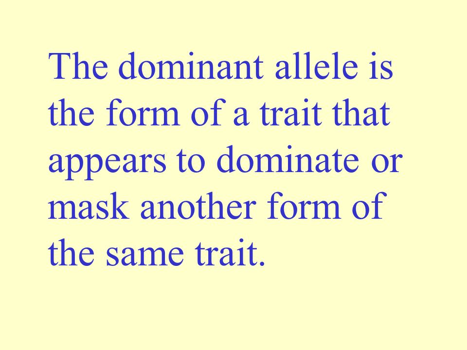 The dominant allele is the form of a trait that appears to dominate or mask another form of the same trait.