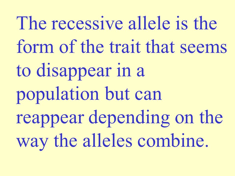 The recessive allele is the form of the trait that seems to disappear in a population but can reappear depending on the way the alleles combine.