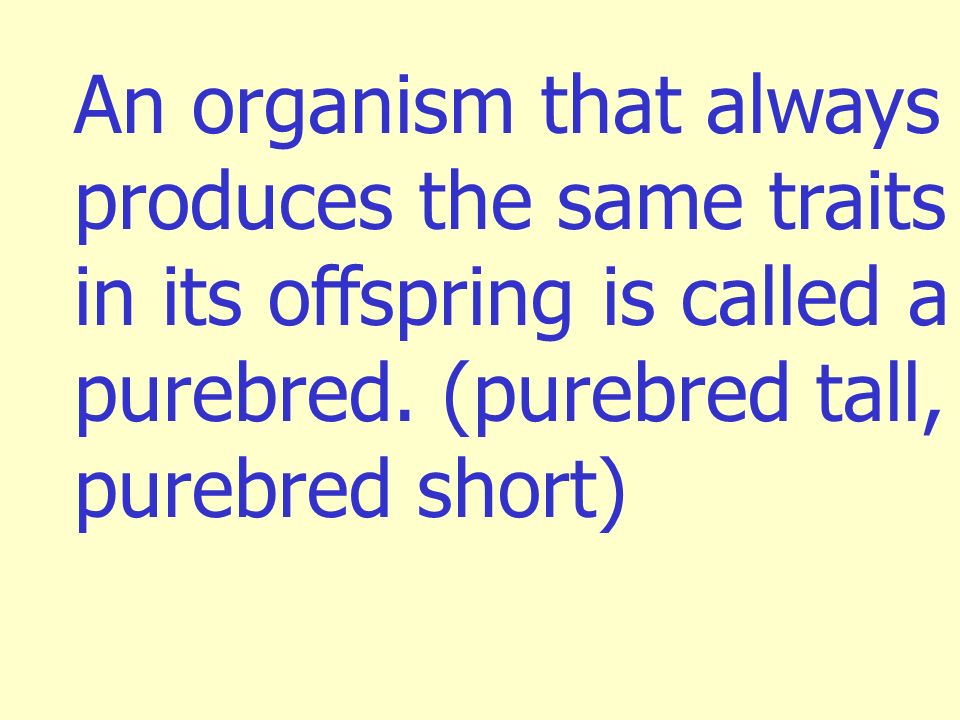 An organism that always produces the same traits in its offspring is called a purebred.