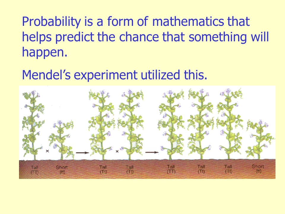 Probability is a form of mathematics that helps predict the chance that something will happen.