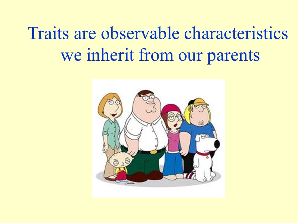 Traits are observable characteristics we inherit from our parents