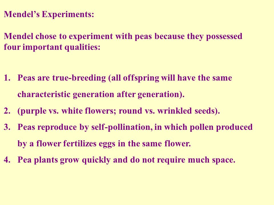 Mendel’s Experiments: