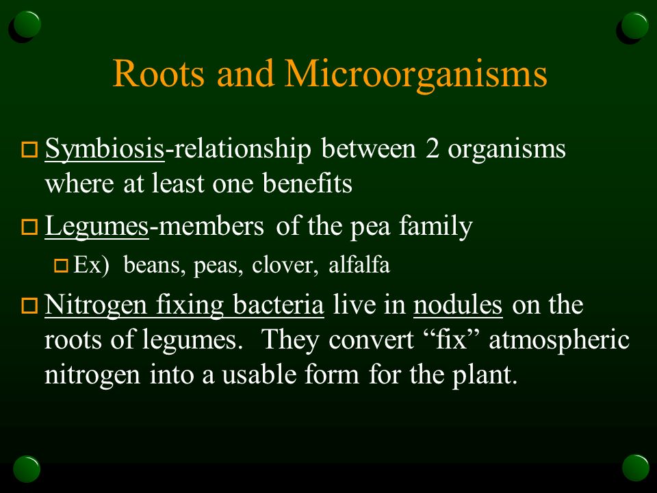 Roots and Microorganisms