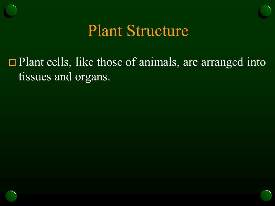 Plant Structure Plant cells, like those of animals, are arranged into tissues and organs.