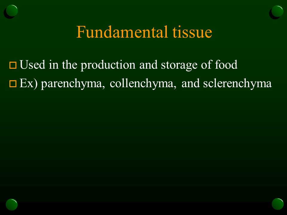 Fundamental tissue Used in the production and storage of food