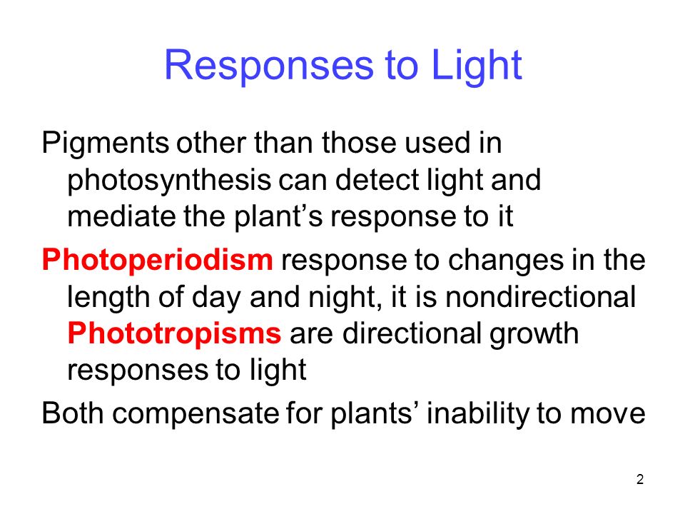 Responses to Light Pigments other than those used in photosynthesis can detect light and mediate the plant’s response to it.