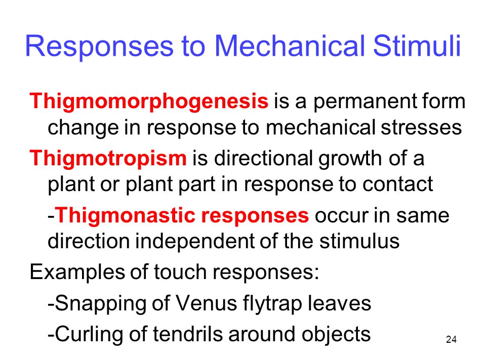 Responses to Mechanical Stimuli